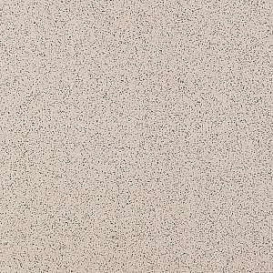 Керамогранит Estima Standard ST01 300*300*8 мм неполированный бежевый