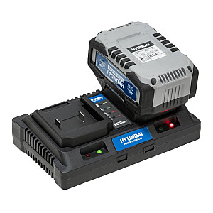 Зарядное устройство Hyundai IMP*2iON