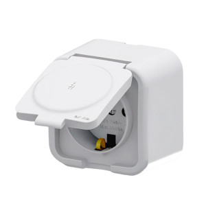 Розетка Arvia Electric 25 01 1000 218 с заземлением наружная с крышкой белая