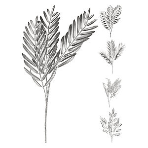 Украшение Koopman AAE324050 Ветка с листьями серебро 75 см