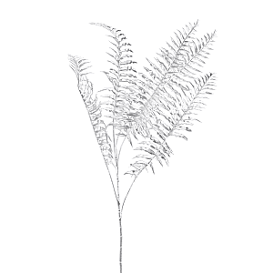 Украшение Koopman AAE324050 Ветка с листьями серебро 75 см