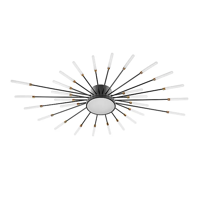 Светильник Айтин-Про C9108/28+1 70Вт черный/золото