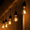 Гирлянда Luazon Lighting Белт Лайт Ретро Spec темная нить 10 м