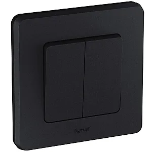 Выключатель двухклавишный Legrand Inspiria 673623 антрацит