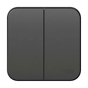 Выключатель Schneider Electric Blanca BLNVA105016 2 клавиши антрацит