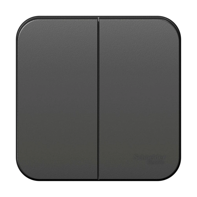 Выключатель Schneider Electric Blanca BLNVA105016 2 клавиши антрацит Выключатель Schneider Electric Blanca BLNVA105016 2 клавиши антрацит