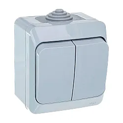Выключатель Schneider Electric Этюд ВА10-042C 2 клавиши серый