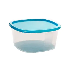 Контейнер SparkPlast BioFresh IS10504 квадратный микс 1.55 л