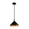 Светильник подвесной Max Light CAST 1024 Black черный