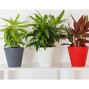 Горшок VipSet AML-2,7-01 Луи с дренажной системой белый 2.7 л