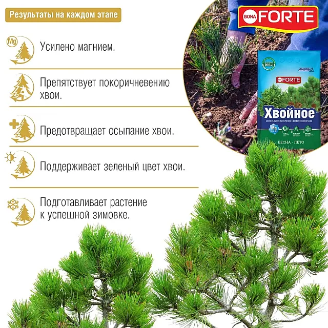 Удобрение Bona Forte Хвойное с микроэлементами 2 кг
