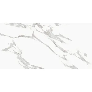 Керамогранит Lasselsberger Ceramics Калакатта 6260-0026 300*603*8.5 мм белый