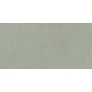 Керамогранит Lasselsberger Ceramics Экзюпери 6260-0185 300*603*8.5 мм зеленый