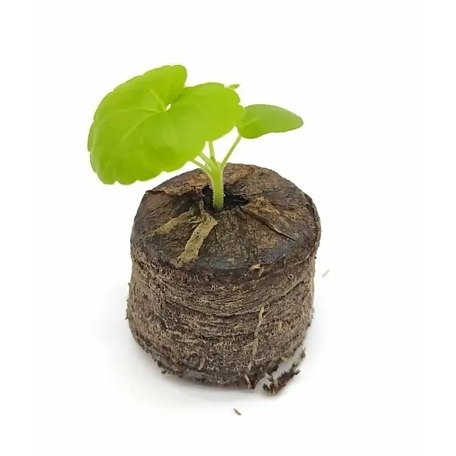 Торфяные таблетки Florizel Д42 универсальные 24 шт