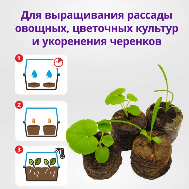 Минипарник БиоМастер с торфяными таблетками 42 мм 18 шт Минипарник БиоМастер с торфяными таблетками 42 мм 18 шт