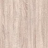 Панель ПВХ Sanrelia Стандарт New Дуб беленый 0126/2