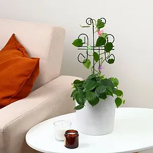 Шпалера Рыжий Кот Бабочка 44*18 см