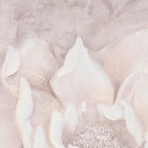 Обои Palitra Life Valencia PL72255-65 1.06*10.05 м