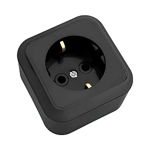 Розетка Bylectrica Пралеска РА16-254 1 место с заземлением черная