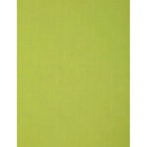 Штора рулонная Delfa Сантайм Лен СРШ-01МЭ-2653 56(52)/160 см светло-зеленый