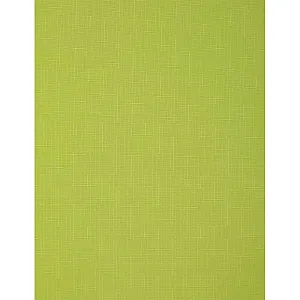 Штора рулонная Delfa Сантайм Лен СРШ-01МЭ-2653 77(73)/160 см светло-зеленый