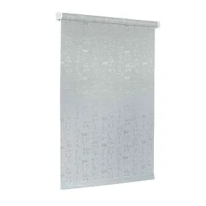 Штора рулонная Delfa Азия СРШ-01М-25104 52(48)/170 см серый