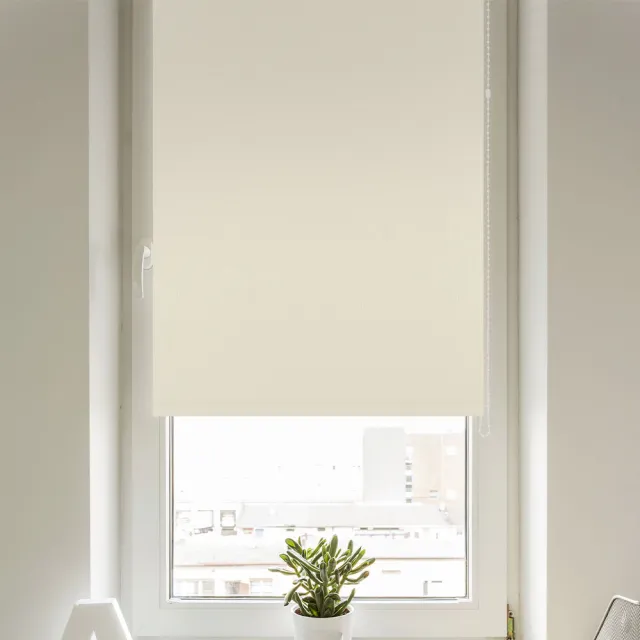 Штора рулонная Delfa Уни термо блэкаут СРШ-01МЭ-7900 52(48)/160 см белый