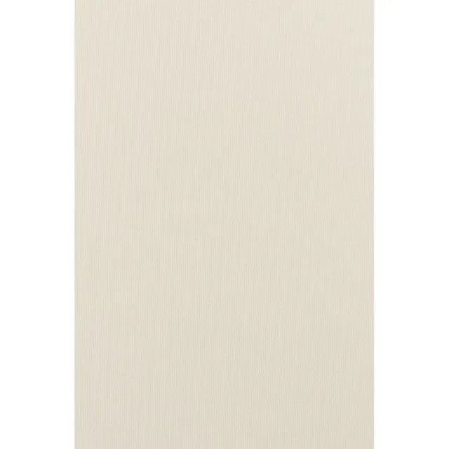 Штора рулонная Delfa Уни термо блэкаут СРШ-01МЭ-7900 61(57)/160 см белый