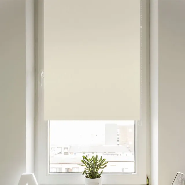 Штора рулонная Delfa Уни термо блэкаут СРШ-01МЭ-7900 66(62)/160 см белый