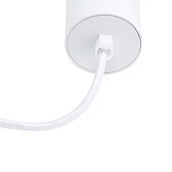 Светильник подвесной TruEnergy Modern 21324 с матовым кольцом с цоколем GU10 55*280 мм