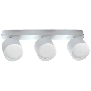 Светильник накладной TruEnergy Modern 21041 с матовым кольцом поворотный спот 3*GX53 алюминий