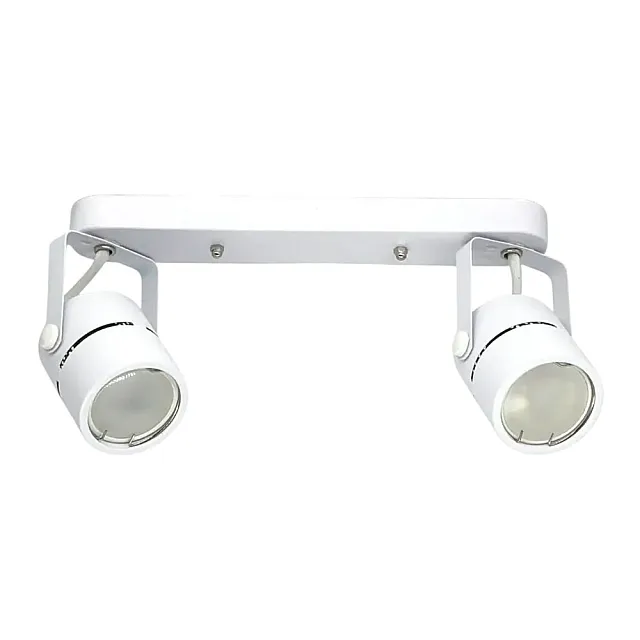 Светильник накладной TruEnergy Focus 21354 двойной поворотный спот под лампы 2*GU10 металл белый
