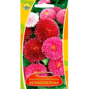 Маргаритка помпонная Великолепная ИП Семена 0.1 г