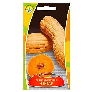 Тыква мускатная Нектар ИП Семена 2 г