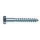 Шуруп 10*80 мм Starfix SMZ1-63751-2 шестигранная головка цинк 2 шт Шуруп 10*80 мм Starfix SMZ1-63751-2 шестигранная головка цинк 2 шт