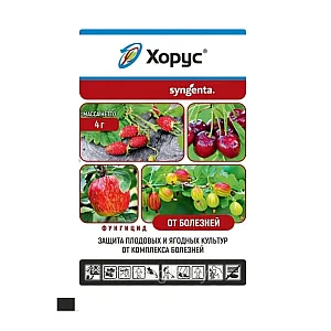 Фунгицид Syngenta Хорус ВДГ 4 г