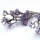 Веточка Статицы искусственная Art&Home G6141 60 см