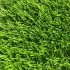 Искусственная трава Bellinturf Green Planet 203 20 мм 2 м