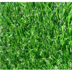 Искусственная трава BELLINTURF Jasmin 304 30мм 1м