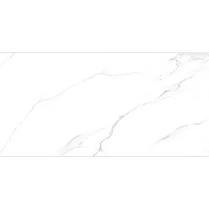 Керамогранит Lux Ceramics RC Wizard W 1200*600*10 мм