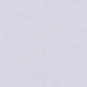 Обои BelVinil Эльза фон 12 10СБ311 1.06*10.05 м