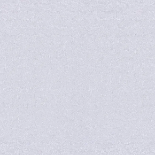Обои BelVinil Эльза фон 12 10СБ311 1.06*10.05 м