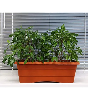 Ящик балконный Гарденпласт №1 терракот 480*170 мм