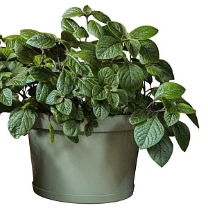 Горшок для цветов Гарденпласт Фикус 20 шалфей 20 л