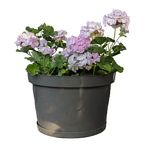 Горшок для цветов Гарденпласт Фикус 20 графит 20 л