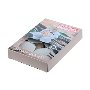 Набор свечей Home Line BB101987 код 266517 ароматизированных Ваниль 3.8*1.6 см 6 шт