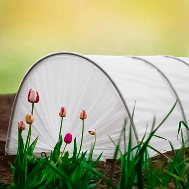 Парник Остров комфорта Стандарт 4 м