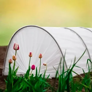 Парник Остров комфорта Стандарт 6 м