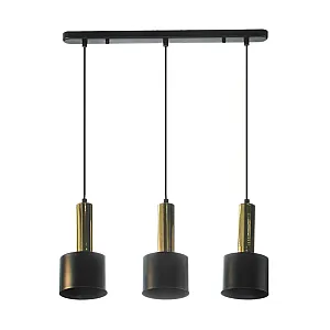 Светильник Айтин-Про НСБ 01-3*40-101 A8133S/3A черный/золото