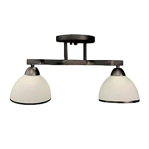 Светильник Айтин-Про НПБ 02-2*60-101 8205/2 черный